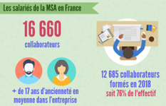 infographie salariés msa